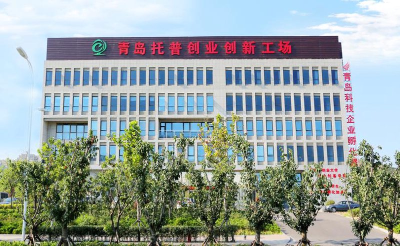 教育管理：构建高效课堂的基石